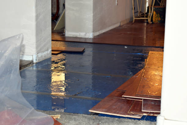 Professional Basement Flood Cleanup technician working in Wenatchee, WA